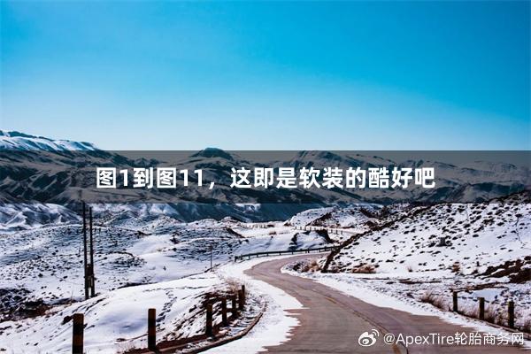 图1到图11,这即是软装的酷好吧
