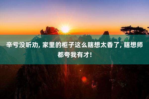 辛亏没听劝, 家里的柜子这么瞎想太香了, 瞎想师都夸我有才!